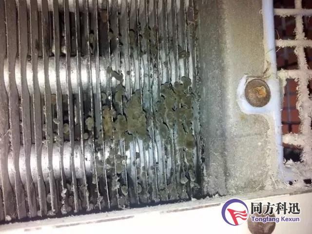 中央空調(diào)清洗不重要?那你就錯了