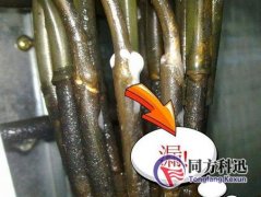 制冷劑泄漏有哪些檢測(cè)方法？